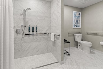 Superior Suite, 1 King Bed (Roll-in Shower)