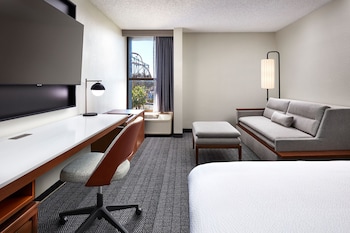 Room, 1 King Bed with Sofa bed