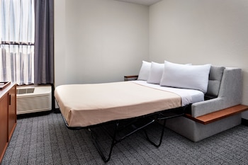 Room, 1 King Bed with Sofa bed