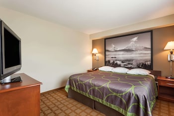 Room, 1 King Bed, Non Smoking