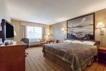 Room, 1 King Bed, Non Smoking