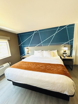 Suite, 1 King Bed with Sofa bed, Accessible, Non Smoking