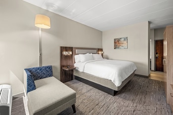 Standard Room, 1 King Bed