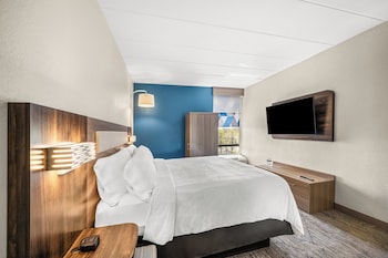 Suite, 1 King Bed
