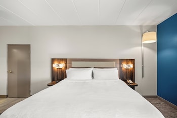 Suite, 1 King Bed