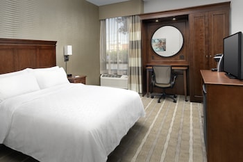 Standard Room, 1 Double Bed, Accessible (Communications)
