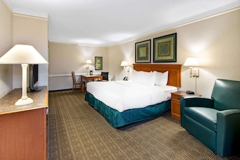 Room, 1 King Bed, Non Smoking