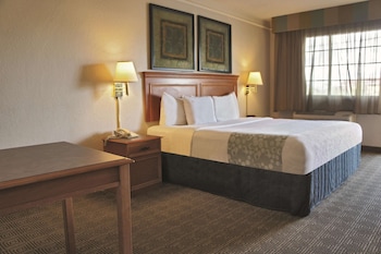 Room, 1 King Bed, Accessible, Non Smoking