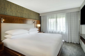 Suite, 1 King Bed, Accessible, Bathtub (Mobility & Hearing)