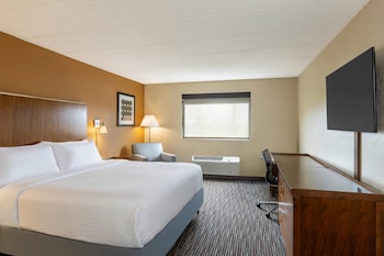 Suite, 1 King Bed with Sofa bed, Non Smoking