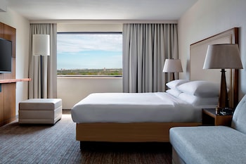 Room, 1 King Bed with Sofa bed
