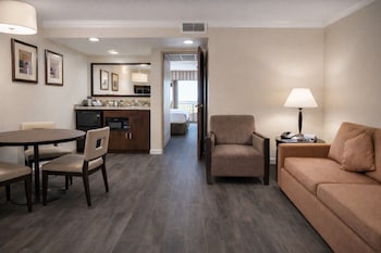 Suite, 1 King Bed with Sofa bed (Courtyard View)