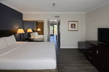 Suite, 1 King Bed with Sofa bed (Courtyard View)