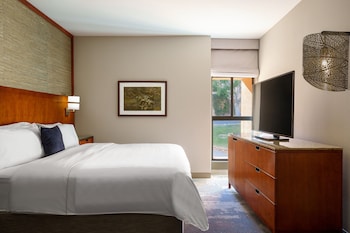 Deluxe Suite, 1 King Bed with Sofa bed, Resort View