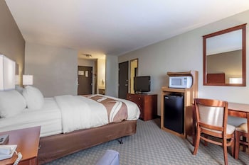 Standard Room, 1 King Bed, Non Smoking