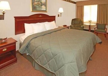 Standard Room, 1 King Bed, Non Smoking