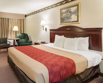 Standard Room, 1 King Bed, Non Smoking
