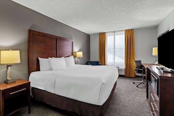 Standard Room, 1 King Bed with Sofa bed, Non Smoking (No Pets)
