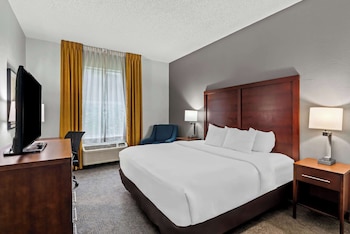 Room, 1 King Bed, Accessible, Non Smoking (Accessible Tub)