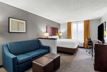 Standard Room, 1 King Bed with Sofa bed, Non Smoking (No Pets)