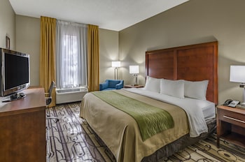Standard Room, 1 King Bed, Non Smoking
