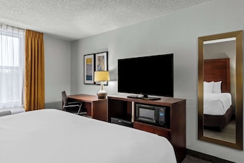 Standard Room, 1 King Bed with Sofa bed, Non Smoking (No Pets)