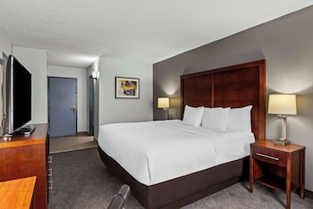 Standard Room, 1 King Bed with Sofa bed, Non Smoking (No Pets)