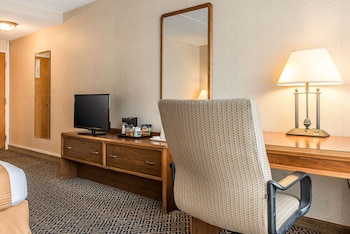 Room, 1 King Bed, Accessible, Non Smoking