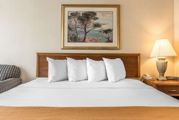 Room, 1 King Bed, Accessible, Non Smoking