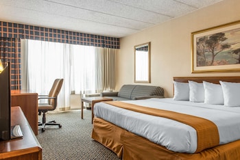 Room, 1 King Bed, Accessible, Non Smoking