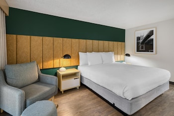 Standard Room, 1 King Bed, Non Smoking, Refrigerator & Microwave