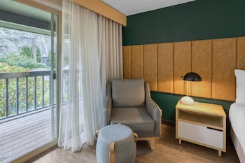 Standard Room, 1 King Bed, Non Smoking, Refrigerator & Microwave
