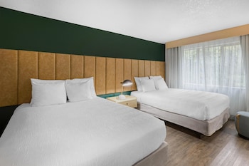Standard Room, 2 Queen Beds, Accessible, Refrigerator & Microwave (Walk-in Shower)