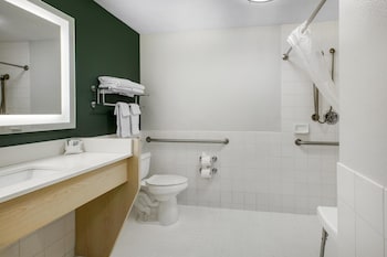 Standard Room, 1 King Bed, Accessible, Refrigerator & Microwave (Walk-in Shower)