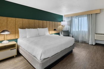 Standard Room, 1 King Bed, Non Smoking, Refrigerator & Microwave