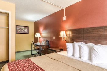 Deluxe Room, 1 King Bed, Accessible, Non Smoking (Roll-In Shower)