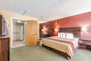 Deluxe Room, 1 King Bed, Accessible, Non Smoking (Roll-In Shower)