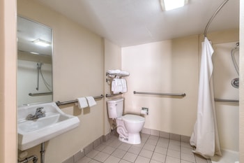 Deluxe Room, 1 King Bed, Accessible, Non Smoking (Roll-In Shower)