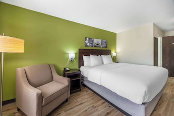 Standard Room, 1 King Bed, Non Smoking