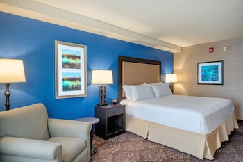 Standard Room, 1 King Bed, Accessible (Communication, Roll-In Shower)