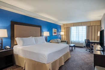 Premium Room, 1 King Bed with Sofa bed