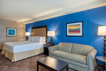 Premium Room, 1 King Bed with Sofa bed
