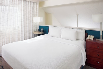 Studio, 1 King Bed with Sofa bed