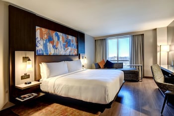 Room, 1 King Bed with Sofa bed