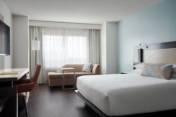 Room, 1 King Bed with Sofa bed