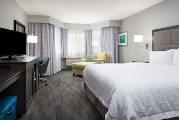 Room, 1 King Bed, Non Smoking, Refrigerator