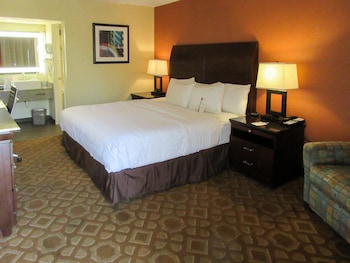 Room, 1 King Bed, Accessible, Non Smoking (Mobility, Accessible Tub, Efficiency)