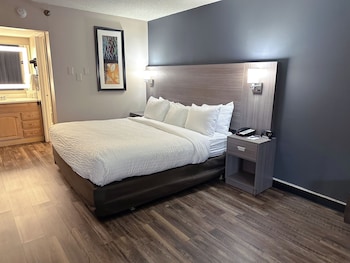 Room, 1 King Bed, Non Smoking (Efficiency)