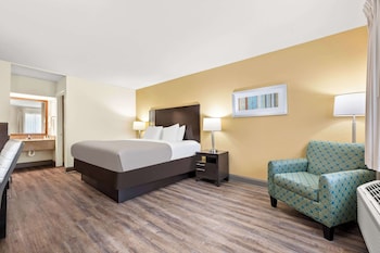 Room, 1 King Bed, Non Smoking