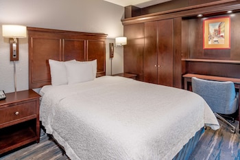 ADA Accessible, Room, 1 Queen Bed, Accessible (Roll-In Shower)